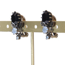 画像をギャラリービューアに読み込む, ボタニカル(植物)モチーフをあしらったラインストーンイヤリング