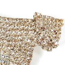 Load image into Gallery viewer, ブローチ ラインストーン ゴールド ベージュ パンサー レパード 129265