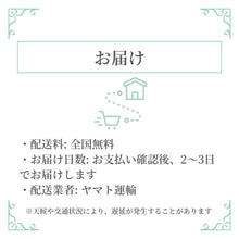 Load image into Gallery viewer, イヤリング ラインストーン ブルー スクエア 150088