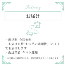 画像をギャラリービューアに読み込む, 【 松丸友紀 アナ着用】イヤリング  ラインストーン パール クリアカラー ホワイト シルバー 149837
