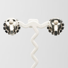 画像をギャラリービューアに読み込む, 大粒のラインストーンが美しく輝くイヤリング