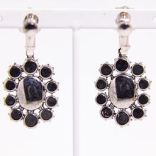 Load image into Gallery viewer, イヤリング ラインストーン グレー クリアカラー 149819