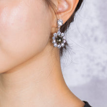 Load image into Gallery viewer, イヤリング ラインストーン グレー クリアカラー 149819