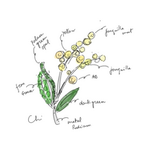 画像をギャラリービューアに読み込む, ブローチ ラインストーン ミモザ イエロー 140094 メール便