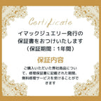 イヤリング ラインストーン クリアカラー グレー 087917